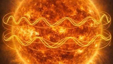 دراسة في "نيويورك أبوظبي" حول الظواهر الشمسية وارتباطها بالتنبؤ بالطقس