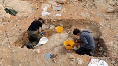 حكومة الشارقة تفتح باب التقديم للباحثين الدوليين لمنح بحثية أثرية قصيرة المدى