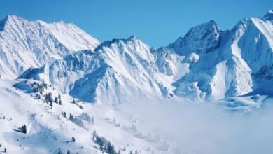 تقارير دولية