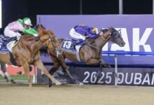 2 مليون دولار جائزة "دبي غولدن شاهين" برعاية "نخيل" ضمن كأس دبي العالمي 2025