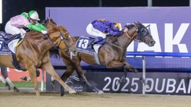 2 مليون دولار جائزة "دبي غولدن شاهين" برعاية "نخيل" ضمن كأس دبي العالمي 2025