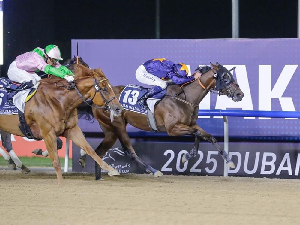 2 مليون دولار جائزة "دبي غولدن شاهين" برعاية "نخيل" ضمن كأس دبي العالمي 2025 1 2 مليون دولار جائزة "دبي غولدن شاهين" برعاية "نخيل" ضمن كأس دبي العالمي 2025