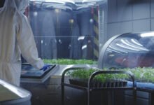 ابتكار جديد