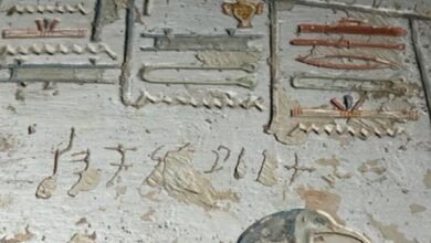 فك رموز لنقوش جدارية هندية في مقابر وادي الملوك المصرية 4 فك رموز