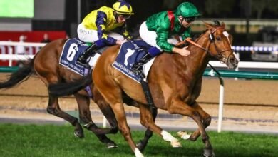 راحة للجواد كالانداغان بعد تتويجه بلقب “دبي شيماء كلاسيك” في كأس دبي العالمي 3 راحة للجواد كالانداغان بعد تتويجه بلقب “دبي شيماء كلاسيك” في كأس دبي العالمي