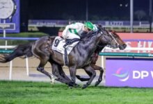 "دي بي ورلد" راعيا لسباق دبي تيرف للخيول ضمن كأس دبي العالمي