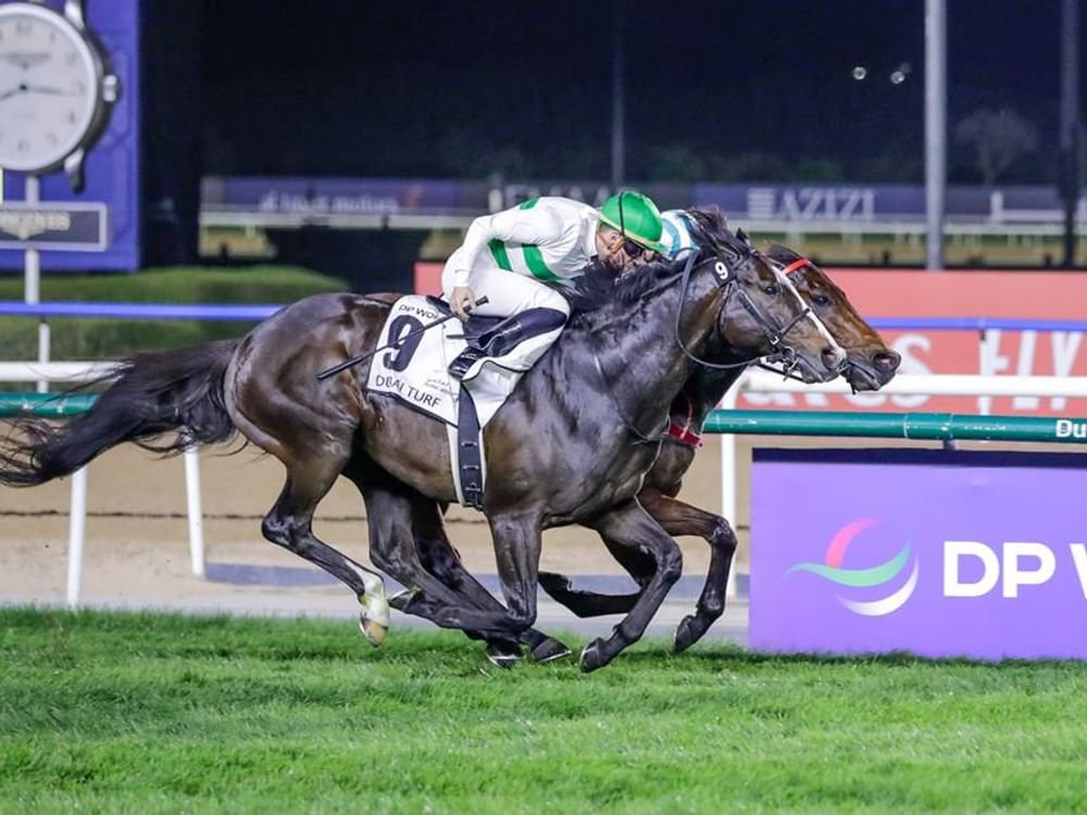 "دي بي ورلد" راعيا لسباق دبي تيرف للخيول ضمن كأس دبي العالمي 1 "دي بي ورلد" راعيا لسباق دبي تيرف للخيول ضمن كأس دبي العالمي