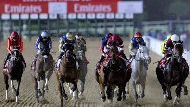 كأس دبي العالمي.. أرقام قياسية تعزز ريادة الإمارات لسباقات الخيل العالمية