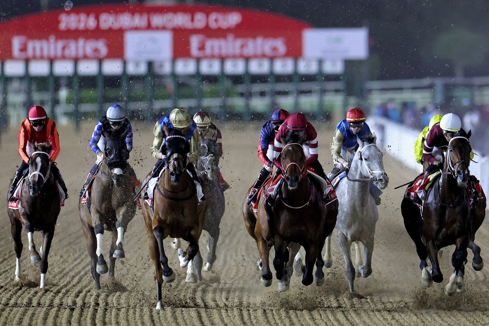 كأس دبي العالمي.. أرقام قياسية تعزز ريادة الإمارات لسباقات الخيل العالمية 1 كأس دبي العالمي.. أرقام قياسية تعزز ريادة الإمارات لسباقات الخيل العالمية
