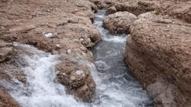 244 ملم أعلى كمية أمطار سجلت خلال الحالة الجوية في جبل ينس برأس الخيمة