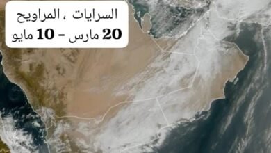 جمعية الإمارات للفلك: "السرايات" تنشط في 20 مارس مصحوبة بأمطار واضطرابات جوية 2 جمعية الإمارات للفلك: "السرايات" تنشط في 20 مارس مصحوبة بأمطار واضطرابات جوية