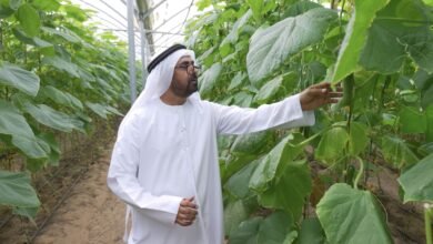 سلال تتعاون مع المركز الزراعي الوطني لدعم مزارعي الدولة وتعزيزاً لمنظومة الأمن الغذائي