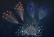 "نيويورك أبوظبي" تنجز دراسة بحثية حول الذكاء الاصطناعي وعلم فيزياء الجزيئات