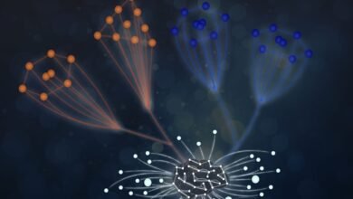 "نيويورك أبوظبي" تنجز دراسة بحثية حول الذكاء الاصطناعي وعلم فيزياء الجزيئات 2 "نيويورك أبوظبي" تنجز دراسة بحثية حول الذكاء الاصطناعي وعلم فيزياء الجزيئات