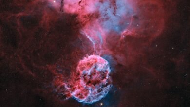 "مرصد الختم الفلكي" ينجح في تصوير سديم "قنديل البحر"