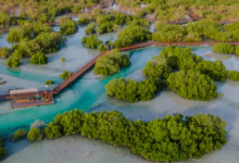 بيئة أبوظبي