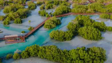 بيئة أبوظبي