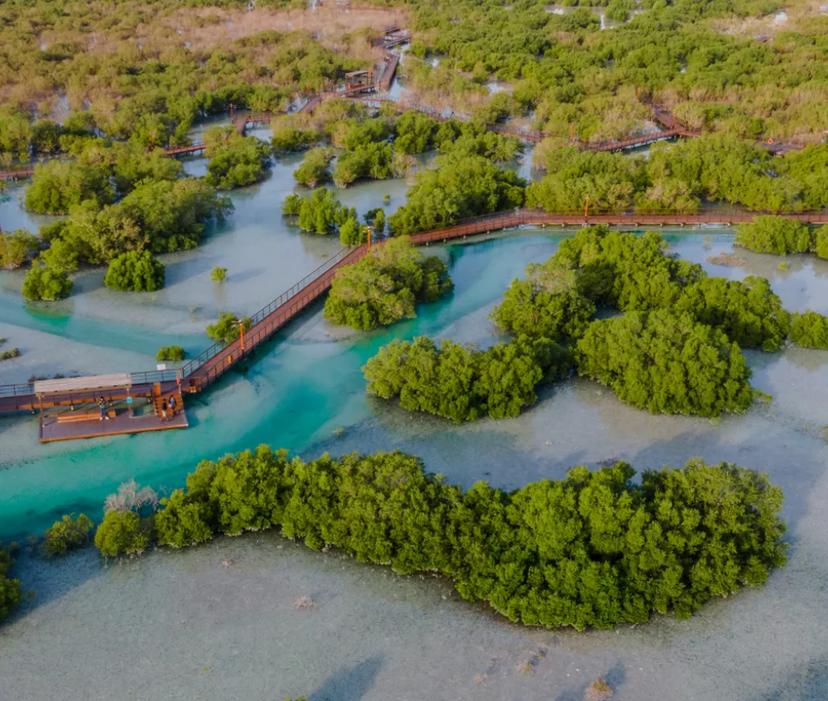 تعاون بين «بيئة أبوظبي» و«طاقة» لدعم أهداف مبادرة «القرم – أبوظبي» 1 بيئة أبوظبي