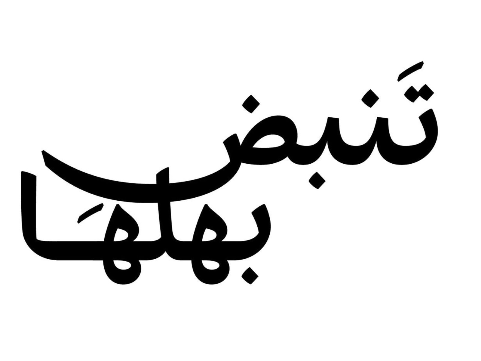 "دائرة تنمية المجتمع - أبوظبي" تطلق أولى محطات مبادرة "تنبض بأهلها" بمنطقة العامرة 1 "دائرة تنمية المجتمع - أبوظبي" تطلق أولى محطات مبادرة "تنبض بأهلها" بمنطقة العامرة