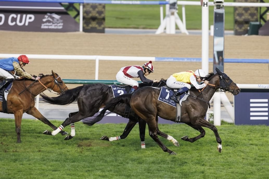 كأس دبي العالمي يحقق نجاحا كبيرا في أمسية استثنائية 1 كأس دبي العالمي