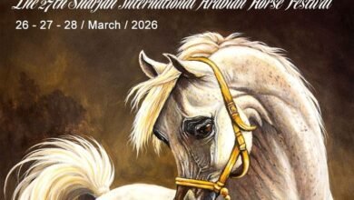 مهرجان الشارقة الدولي السابع والعشرين للجواد العربي ينطلق غدا 2 مهرجان الشارقة الدولي السابع والعشرين للجواد العربي ينطلق غدا