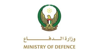 الدفاعات الإماراتية