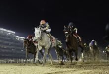 100 جواد يتنافسون في النسخة الـ30 من كأس دبي العالمي غدا