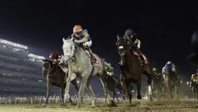 100 جواد يتنافسون في النسخة الـ30 من كأس دبي العالمي غدا 2 100 جواد يتنافسون في النسخة الـ30 من كأس دبي العالمي غدا