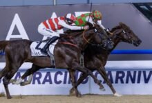 5 مدربين مواطنين ينافسون على "كحيلة كلاسيك" في كأس دبي العالمي