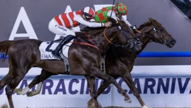 5 مدربين مواطنين ينافسون على "كحيلة كلاسيك" في كأس دبي العالمي