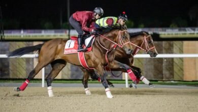خيول النخبة تكمل تحضيراتها في مضمار ميدان قبل أمسية كأس دبي العالمي