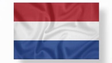 تعطل حركة القطارات في هولندا بسبب تساقط الثلوج وسوء الأحوال الجوية 2 تعطل حركة القطارات في هولندا بسبب تساقط الثلوج وسوء الأحوال الجوية