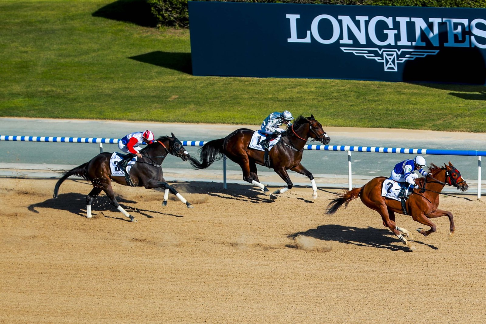 "بانشنغ" يتوج بلقب "جودلفين مايل" في كأس دبي العالمي 2026 1 "بانشنغ" يتوج بلقب "جودلفين مايل" في كأس دبي العالمي 2026