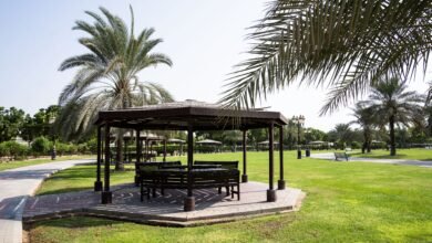 بلدية عجمان تنفذ عدة مشاريع لزيادة الرقعة الخضراء في الإمارة