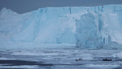 بين احترار المحيط وذوبان الجليد.. فاتورة مناخية ثقيلة يدفعها الكوكب في 2025 3 المحيط