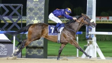 "دارك سيفرون" يتوج بلقب "دبي جولدن شاهين" في كأس دبي العالمي 2026