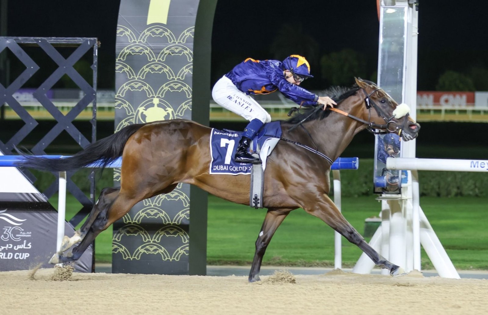 "دارك سيفرون" يتوج بلقب "دبي جولدن شاهين" في كأس دبي العالمي 2026 1 "دارك سيفرون" يتوج بلقب "دبي جولدن شاهين" في كأس دبي العالمي 2026