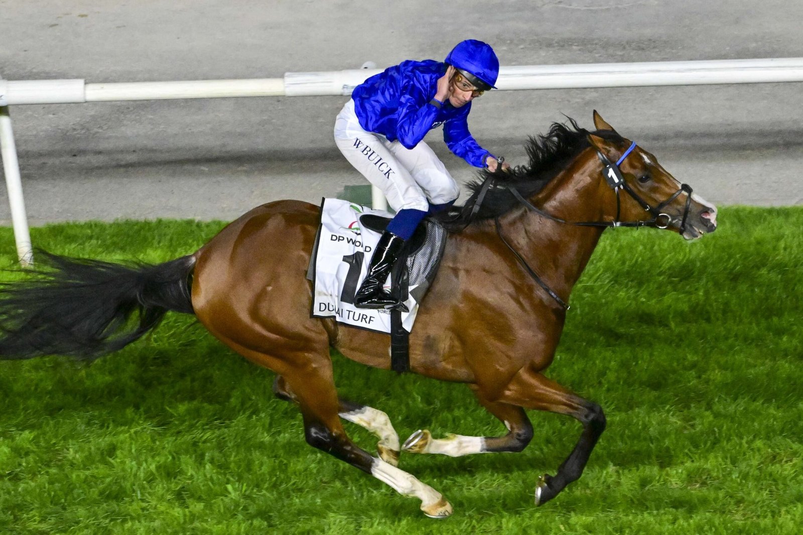 "أمبودسمان" يتوج بلقب "دبي تيرف" في كأس دبي العالمي 2026 1 "أمبودسمان" يتوج بلقب "دبي تيرف" في كأس دبي العالمي 2026