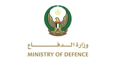 الدفاعات الإماراتية