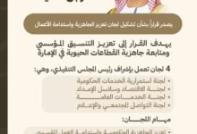 عمار بن حميد يصدر قراراً بتشكيل لجان تعزيز الجاهزية واستدامة الأعمال في حكومة عجمان