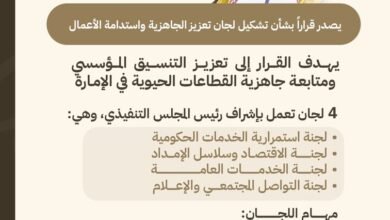 عمار بن حميد يصدر قراراً بتشكيل لجان تعزيز الجاهزية واستدامة الأعمال في حكومة عجمان