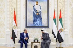 رئيس الدولة والرئيس المصري يبحثان علاقات التعاون والتطورات الإقليمية