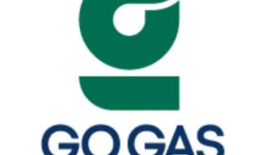 "نحو مستقبل طاقة مستدام في موريتانيا: مشروع عملاق بقدرة 365 ميجاوات في نواكشوط"