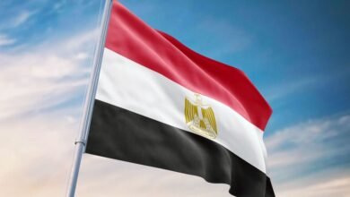 مصر تدعو إلى ضبط الخطاب الإعلامي وتعزيز العلاقات الأخوية مع الدول العربية