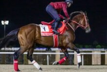 كأس دبي العالمي.. "فوريفر يونج" يقترب من صدارة الأرباح التاريخية