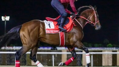 كأس دبي العالمي.. "فوريفر يونج" يقترب من صدارة الأرباح التاريخية