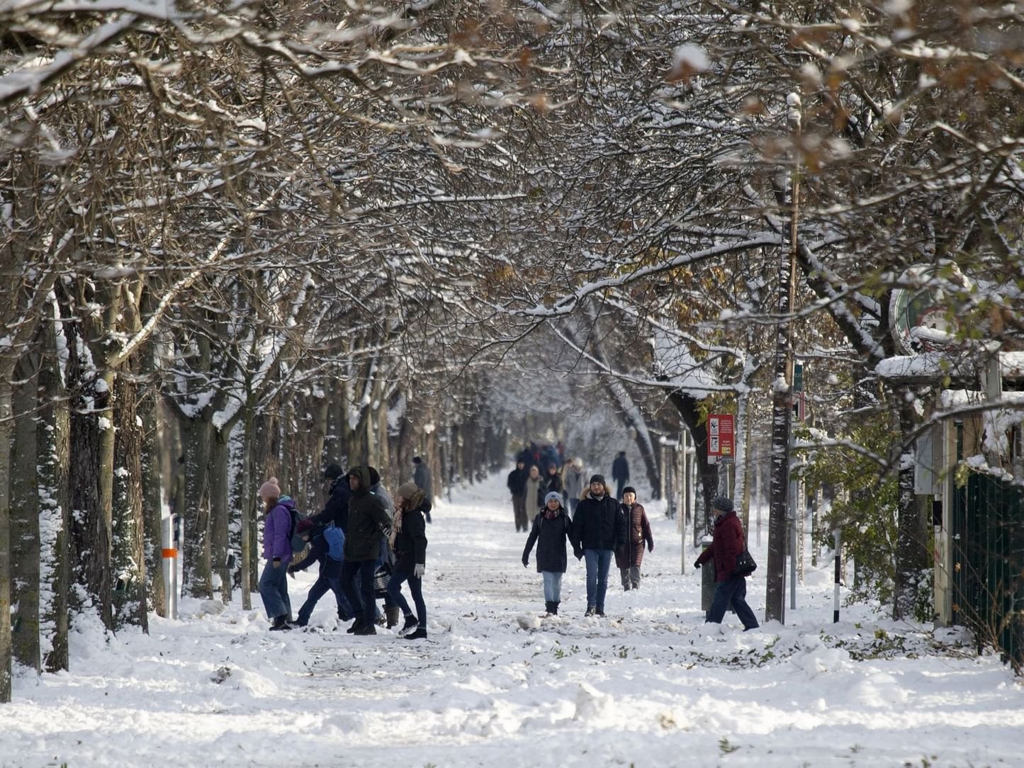 حدثت عامي 1883 و1958 فقط ..درجات الحرارة دون الصفر في النمسا 1 حدثت عامي 1883 و1958 فقط ..درجات الحرارة دون الصفر في النمسا