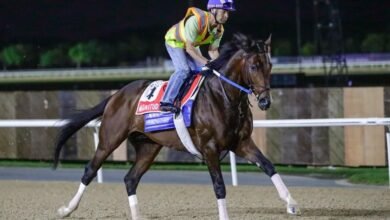 170 دولة تتابع كأس دبي العالمي من مضمار ميدان 2 170 دولة تتابع كأس دبي العالمي من مضمار ميدان