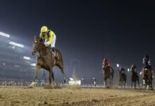 صراع العمالقة يشتعل مبكراً في تدريبات كأس دبي العالمي للخيول