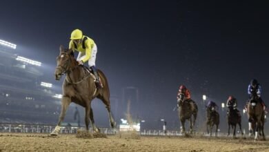 صراع العمالقة يشتعل مبكراً في تدريبات كأس دبي العالمي للخيول